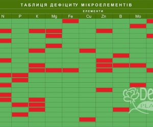 НАЙВАЖЛИВІШІ ЕЛЕМЕНТИ ЖИВЛЕННЯ РОСЛИН