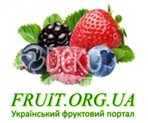 Запрошуємо відвідати інформаційний веб-портал  www.fruit.org.ua