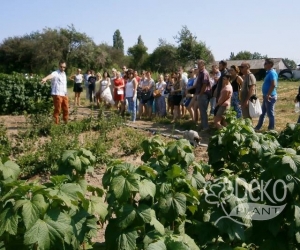 Зустріч з офіційними представниками - компанія "Дім, сад, город". Семінар-тренінг.