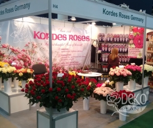 Международная выставка Flower Expo Ukraine 2017