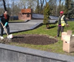 У Вінниці на Європейській площі висадили 200 троянд  наданих спільним україно-голландським  підприємством «Декоплант».