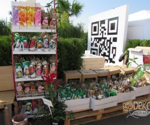 ART GREEN FEST 