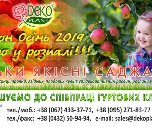 Сезон Осінь-2019 у розпалі!