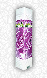 Парфюм (Parfume) Парфюм (Parfume)