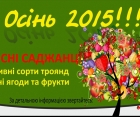 Компанія "Декоплант" приймає замовлення на осінній сезон!