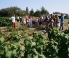 Зустріч з офіційними представниками - компанія "Дім, сад, город". Семінар-тренінг.