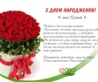 Сьогодні ми святкуємо 12-те День народження компанії "Декоплант" !