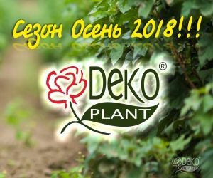 СЕЗОН "ОСЕНЬ-2018" ОТКРЫТ!